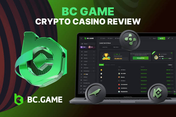 Step-by-Step Guide to the BC.Game Registration Process